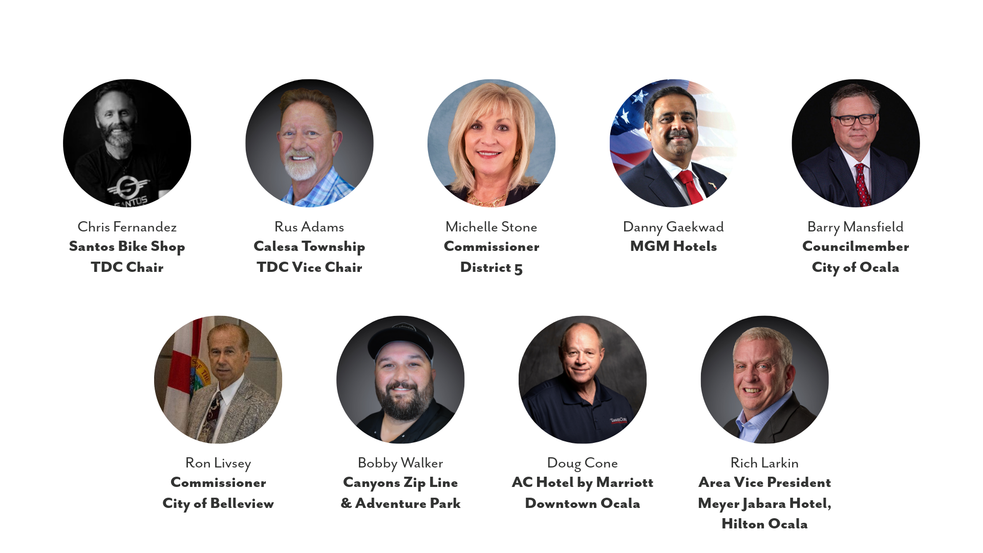 TDC Council as of July 2026